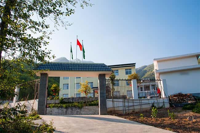 彩乐园·(中国区)官方网站