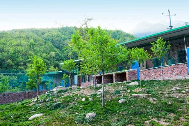 彩乐园·(中国区)官方网站