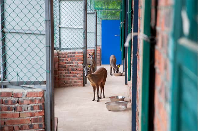 彩乐园·(中国区)官方网站