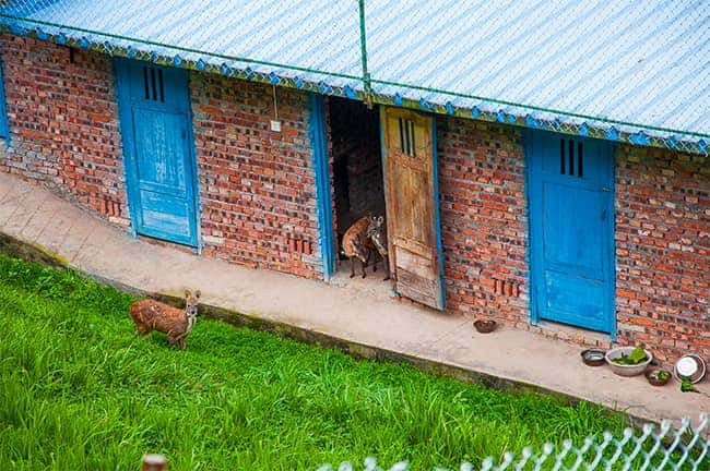 彩乐园·(中国区)官方网站