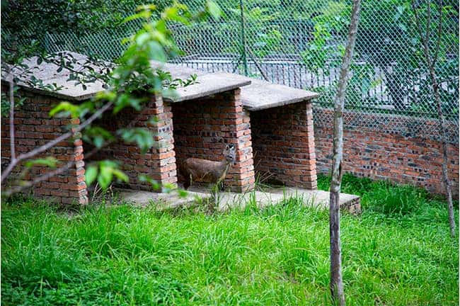 彩乐园·(中国区)官方网站