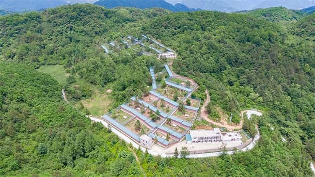 彩乐园·(中国区)官方网站