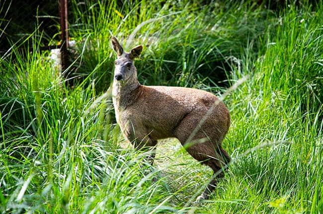 彩乐园·(中国区)官方网站