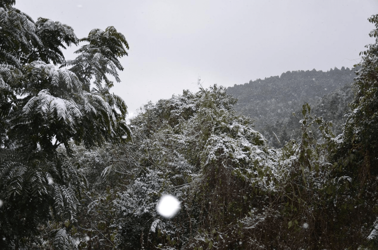 彩乐园·(中国区)官方网站