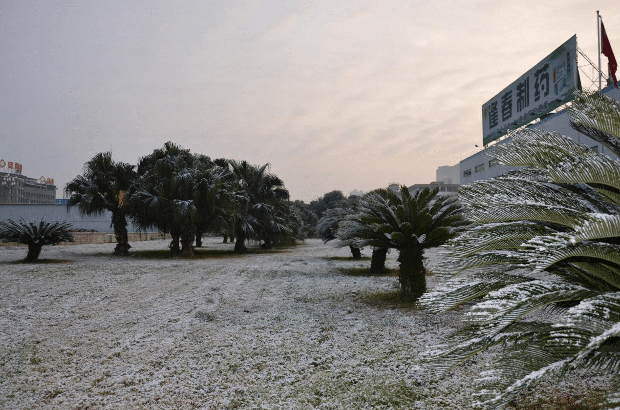 彩乐园·(中国区)官方网站