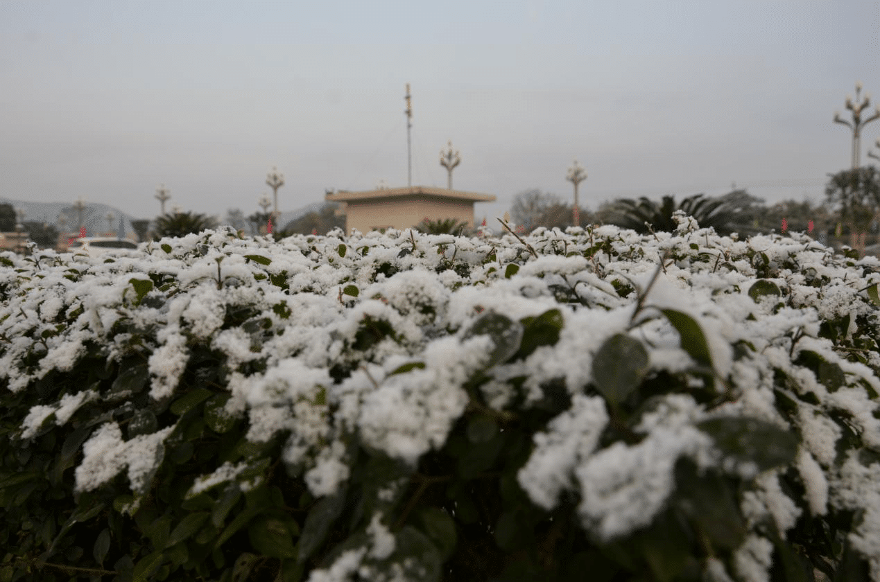 彩乐园·(中国区)官方网站