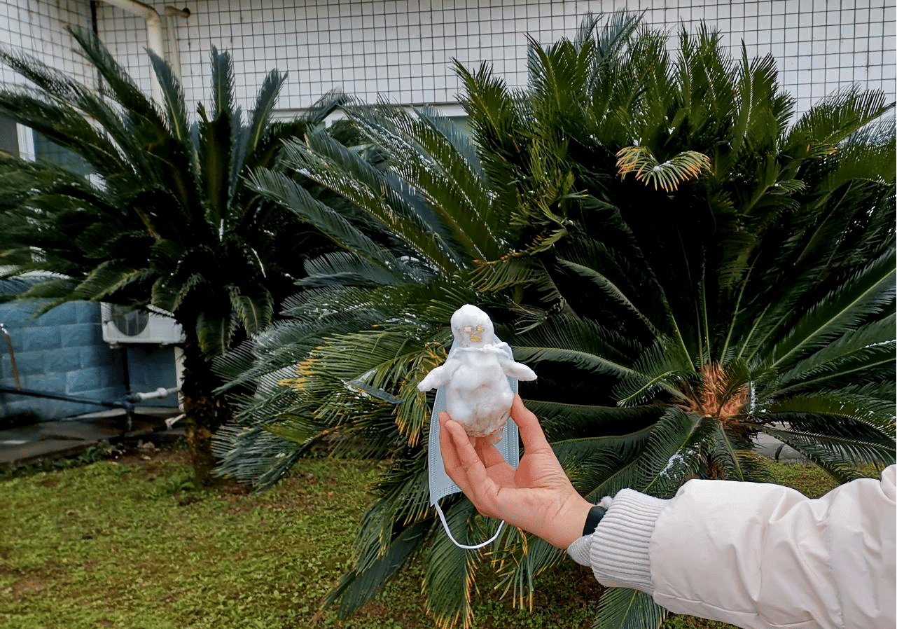 彩乐园·(中国区)官方网站