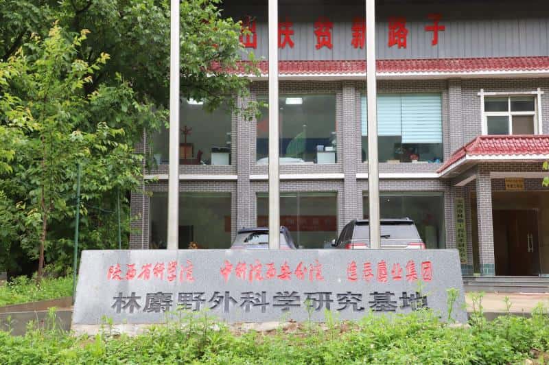 宝鸡彩乐园林麝工程手艺研究中心