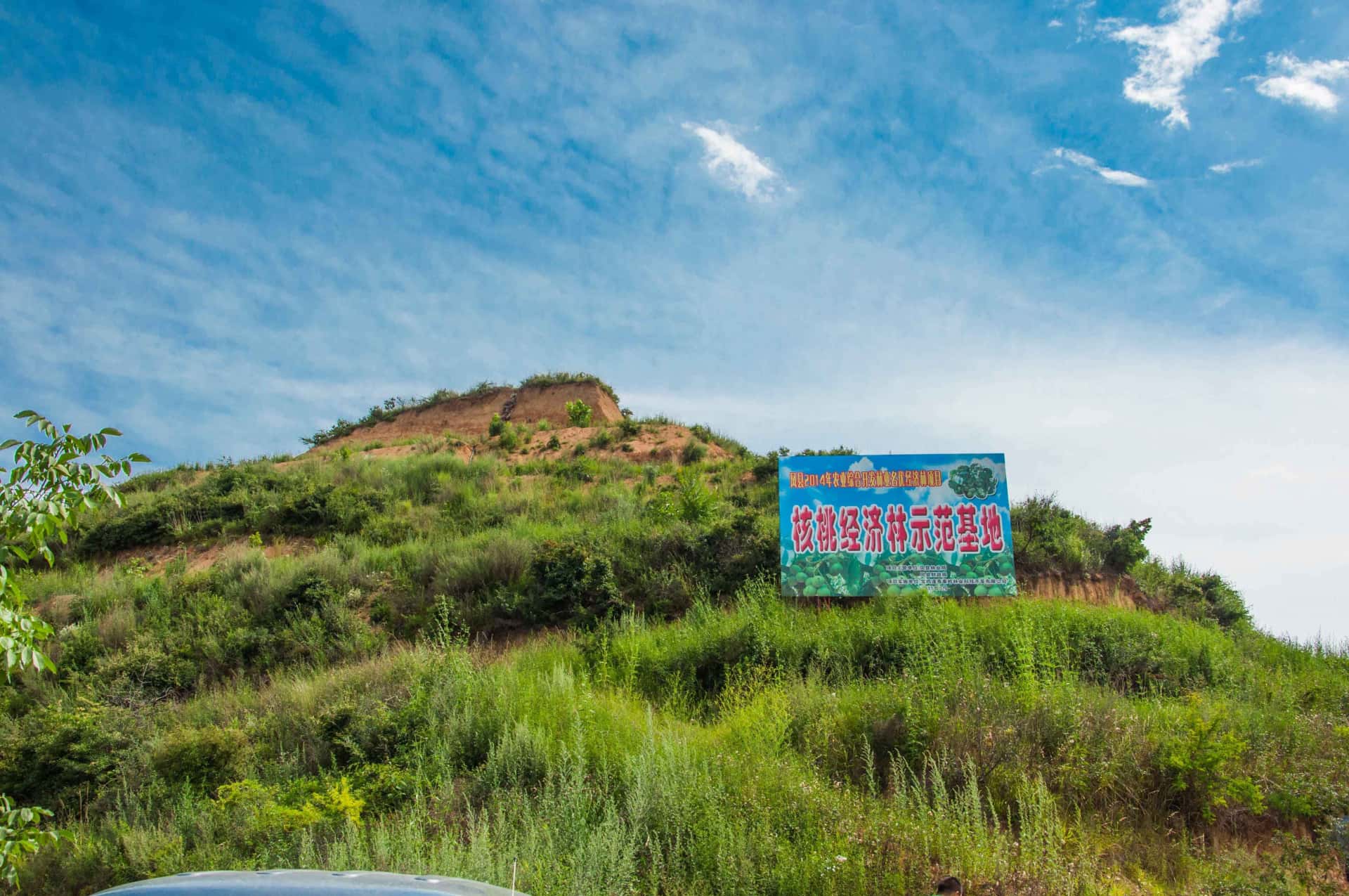 彩乐园·(中国区)官方网站