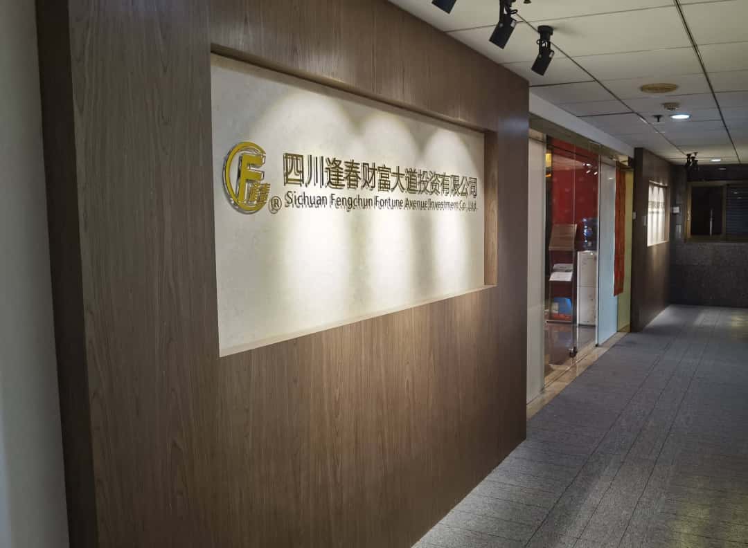 四川彩乐园财产大道投资有限公司