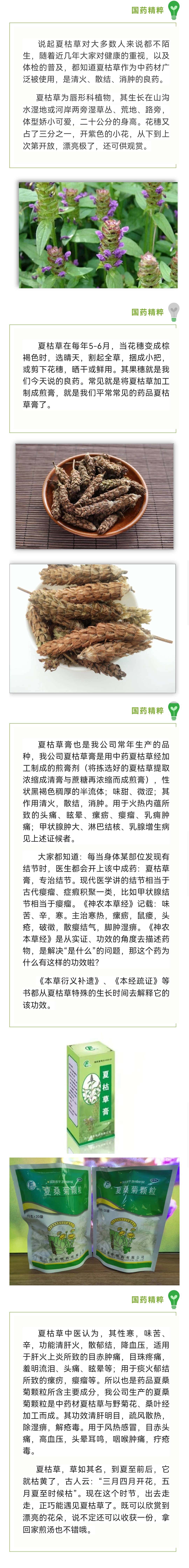 彩乐园·(中国区)官方网站