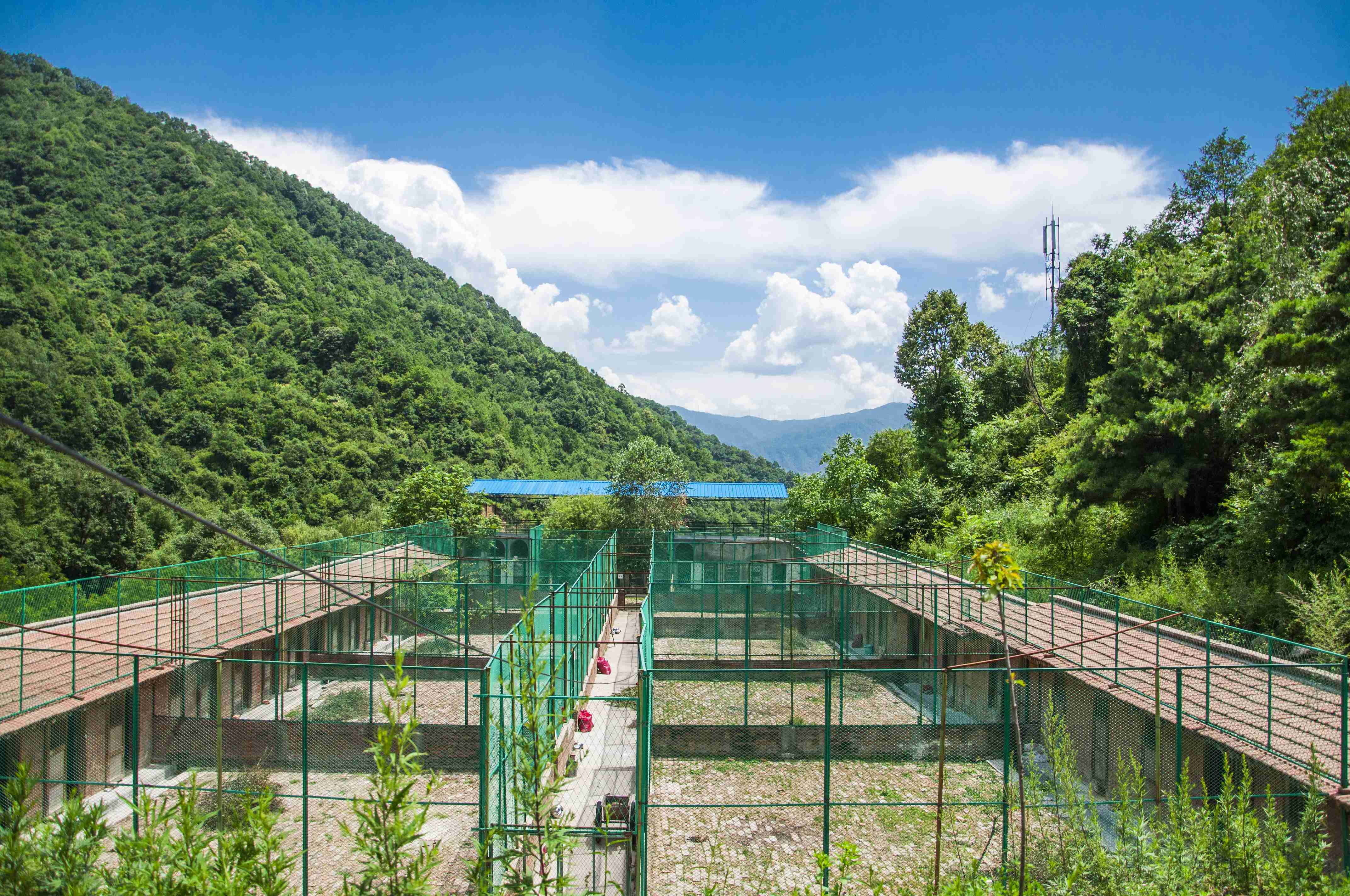 彩乐园·(中国区)官方网站