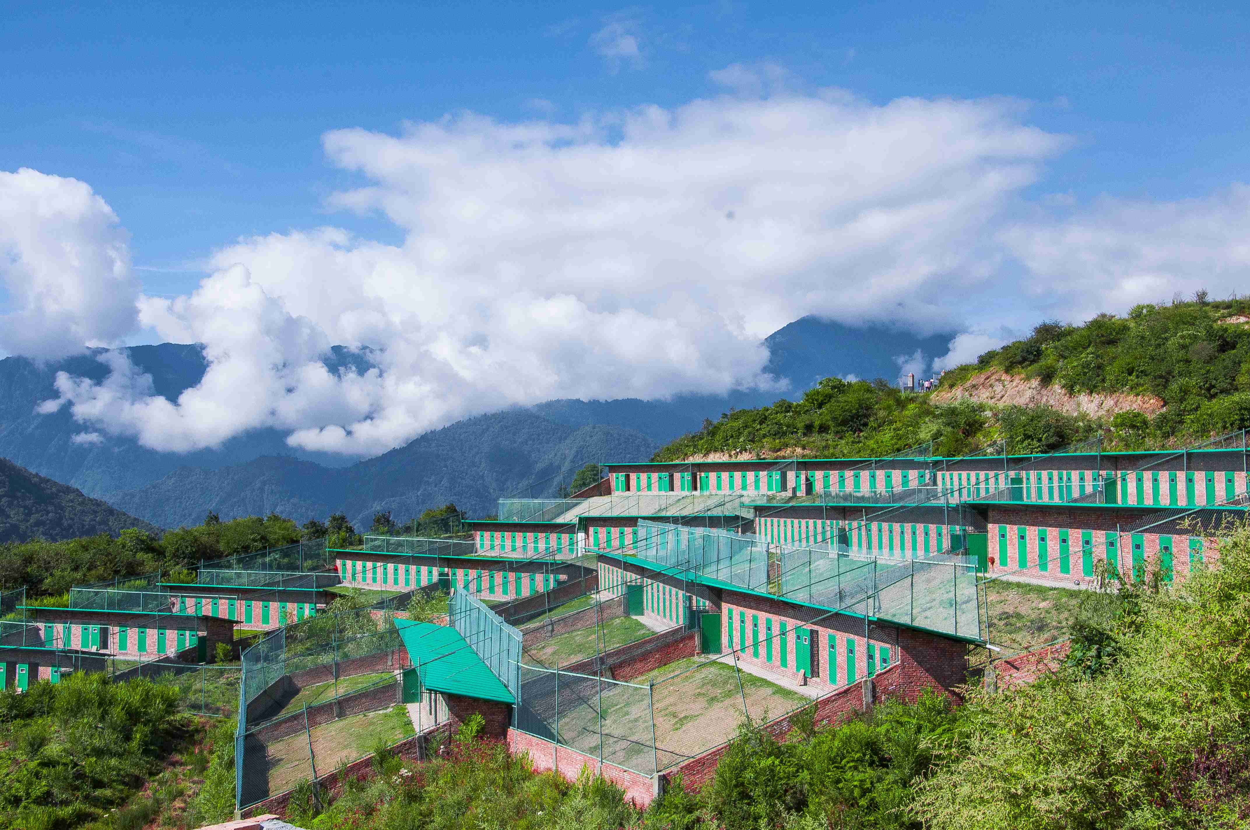 彩乐园·(中国区)官方网站