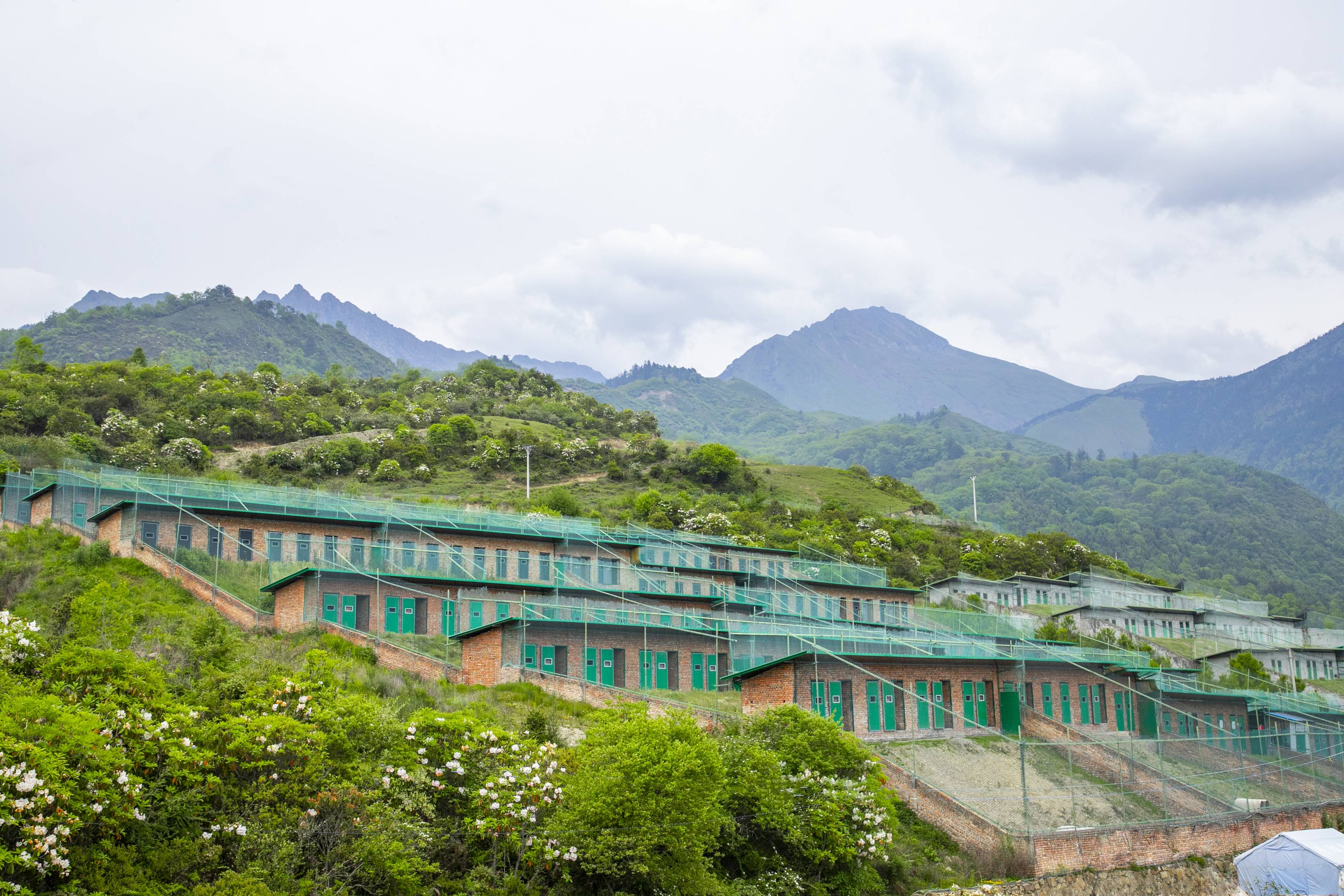 彩乐园·(中国区)官方网站