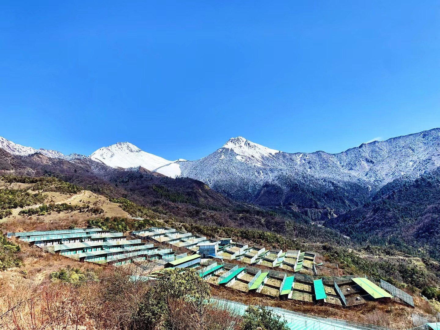 彩乐园·(中国区)官方网站