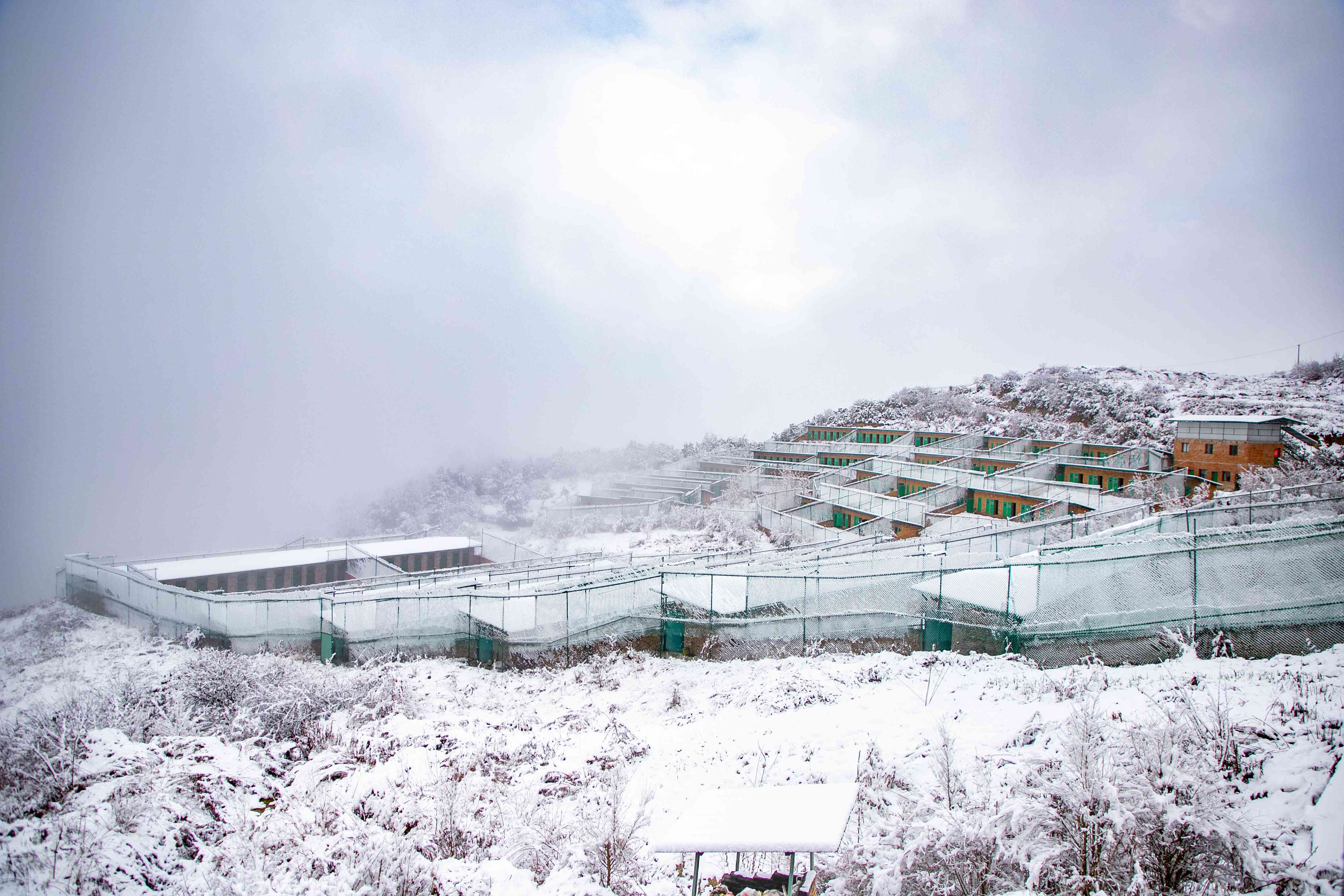 彩乐园·(中国区)官方网站