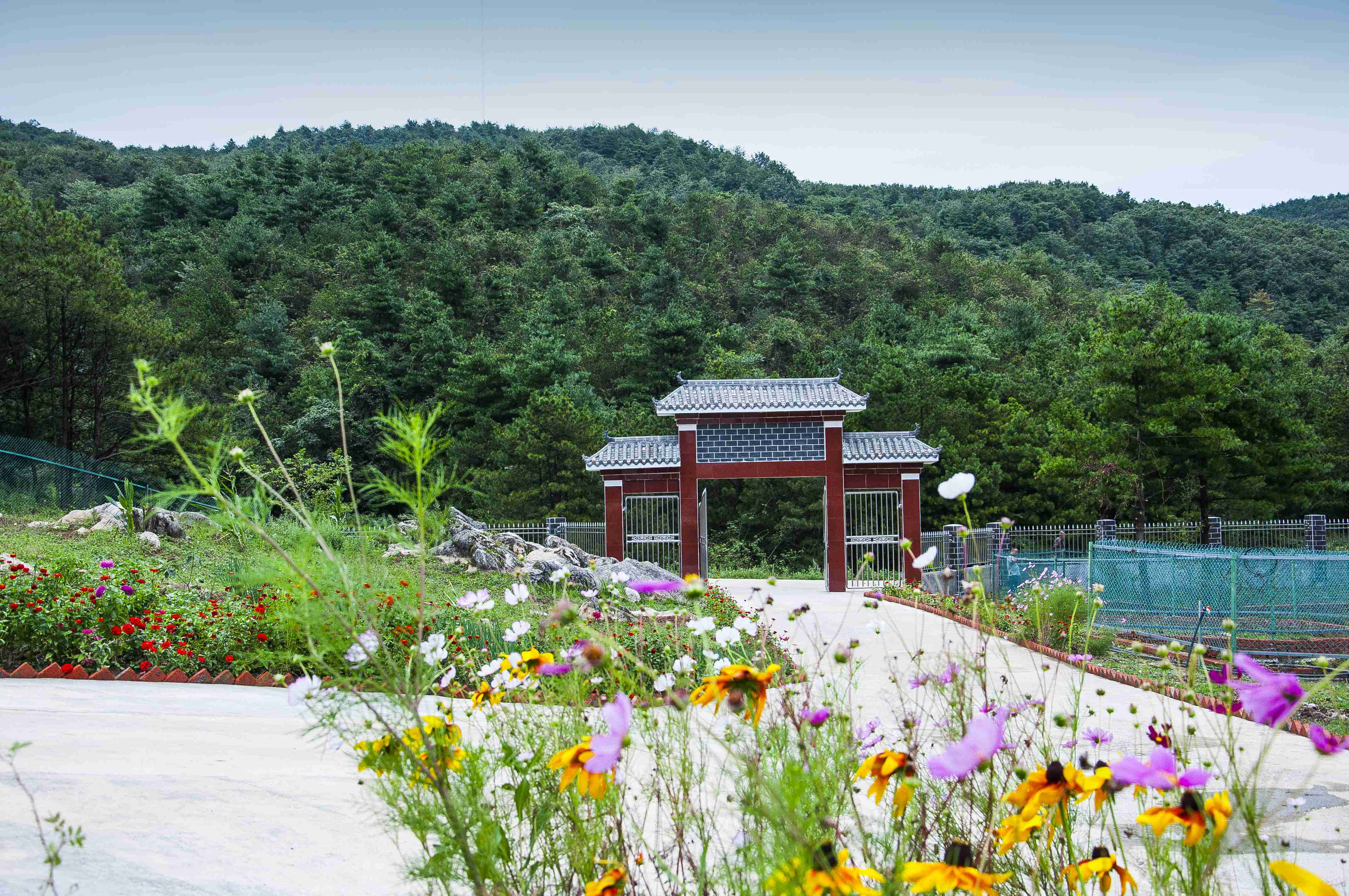 彩乐园·(中国区)官方网站