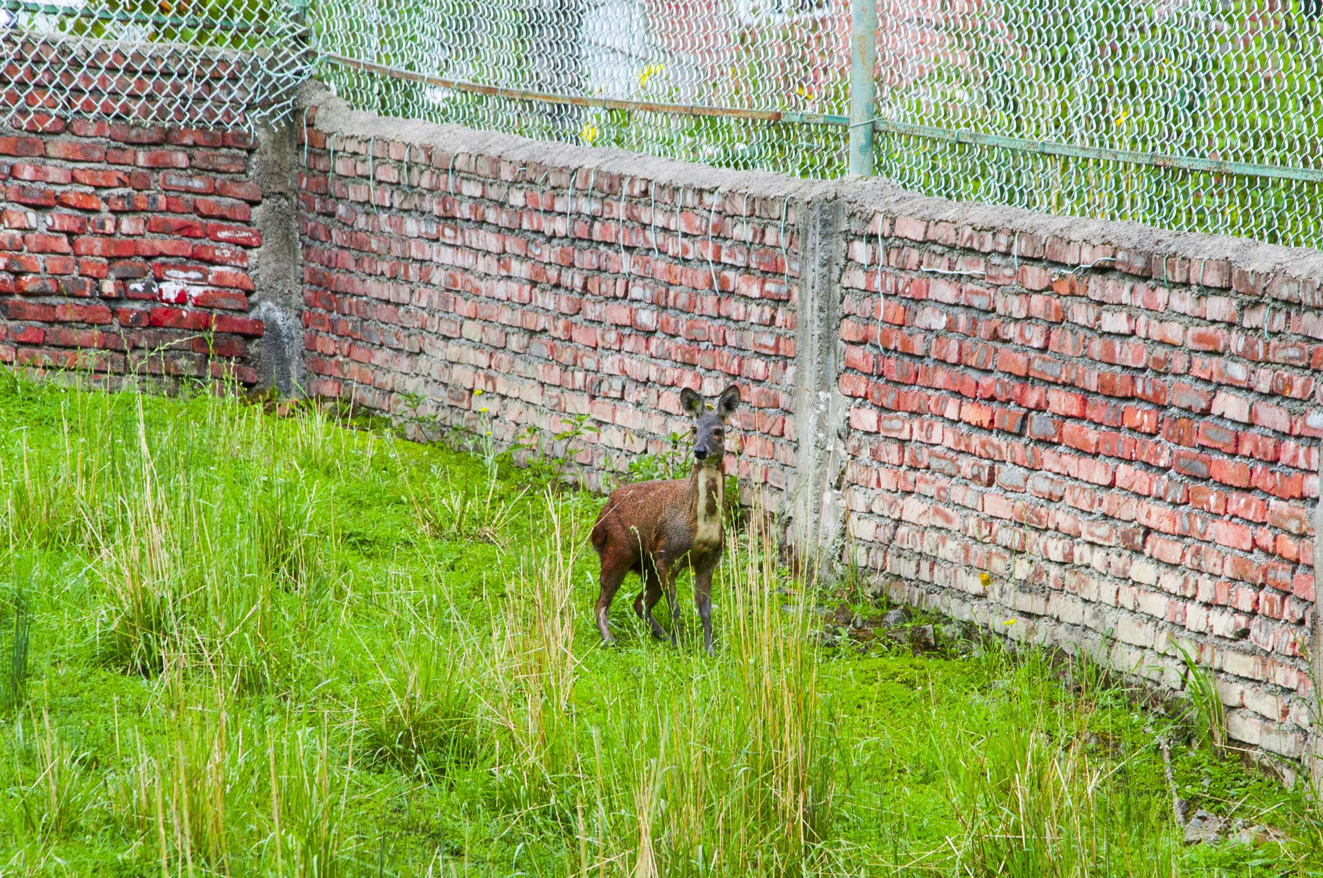 彩乐园·(中国区)官方网站