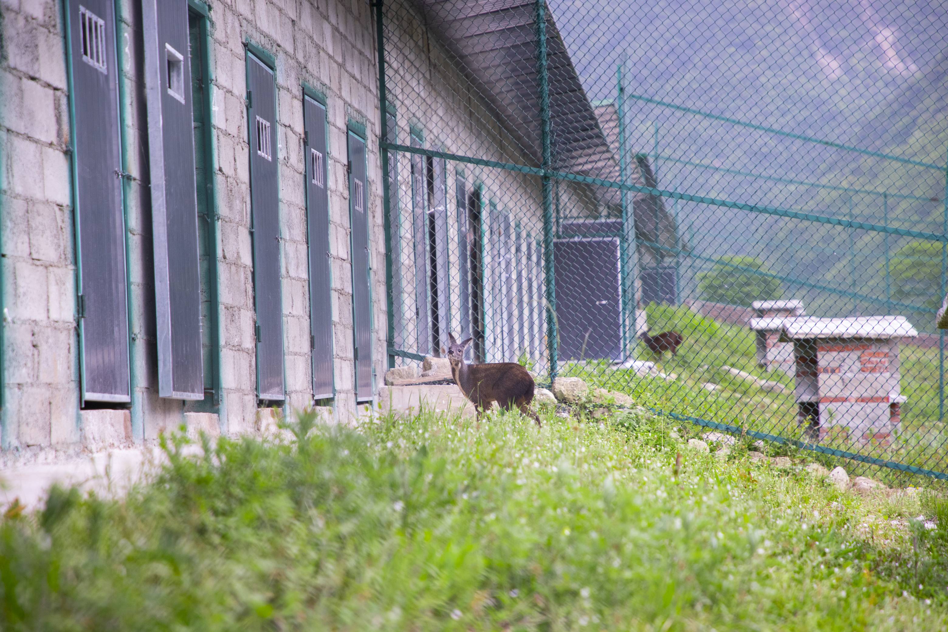 彩乐园·(中国区)官方网站