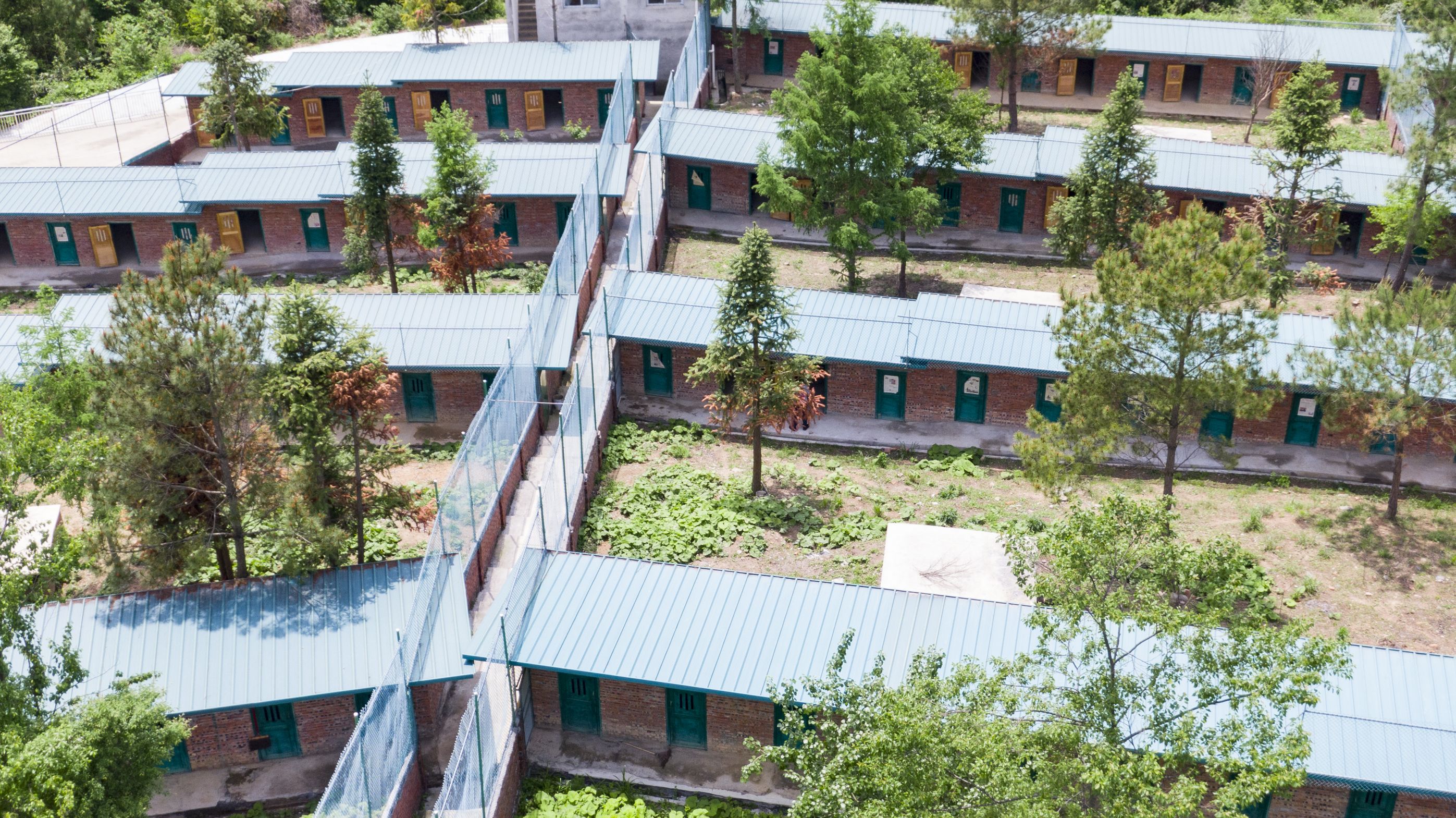 彩乐园·(中国区)官方网站