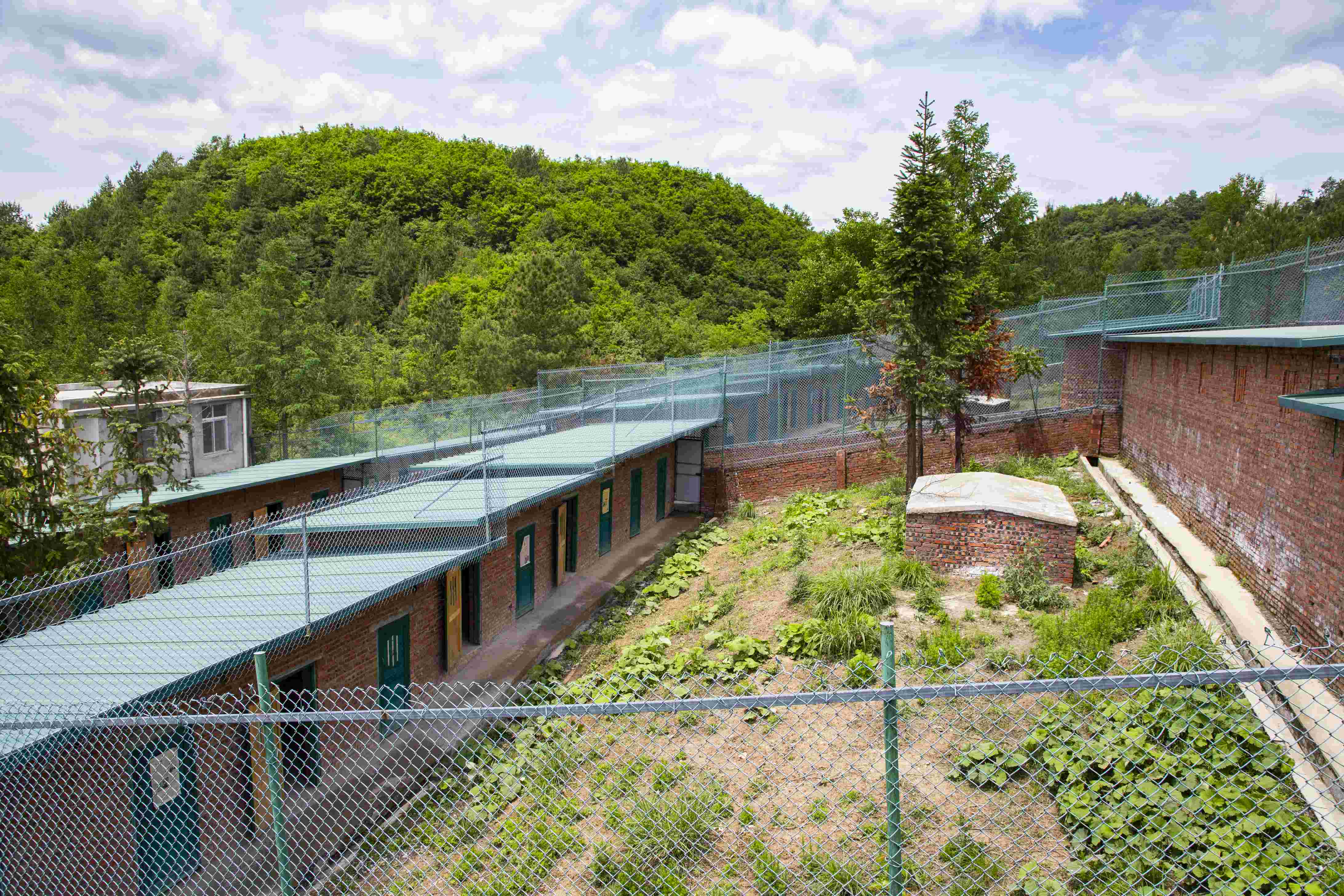 彩乐园·(中国区)官方网站